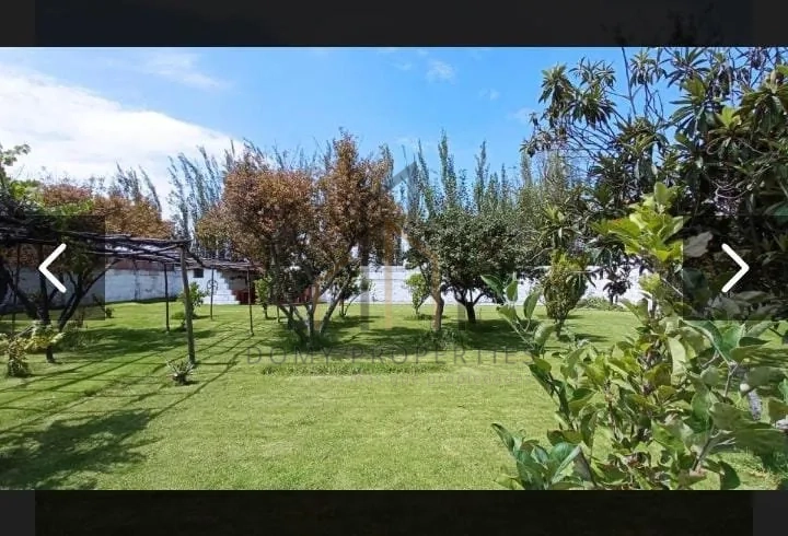 Imagen de la propiedad 20330